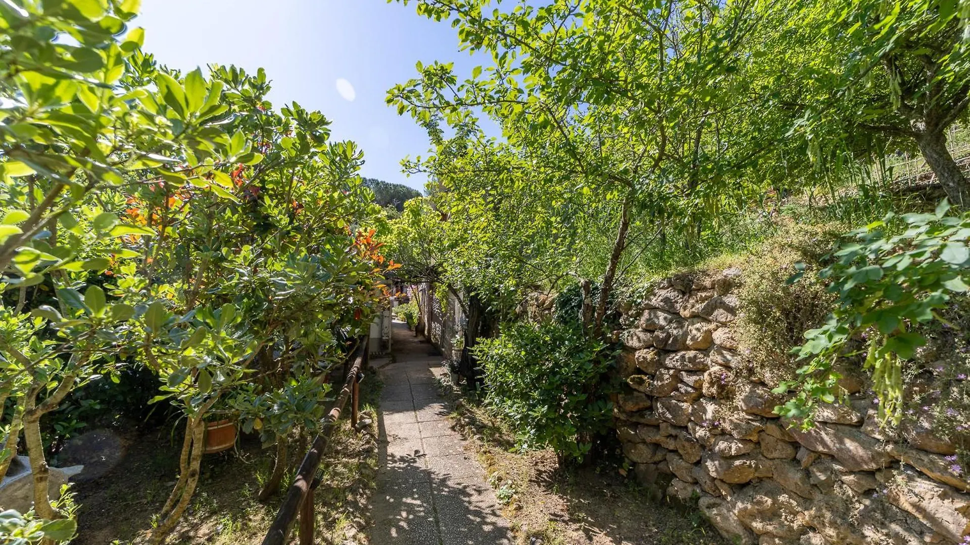 Cottage Pura Vigna Immerso Nella Natura Vicino Al Mare Porto Santo Stefano  Chalet