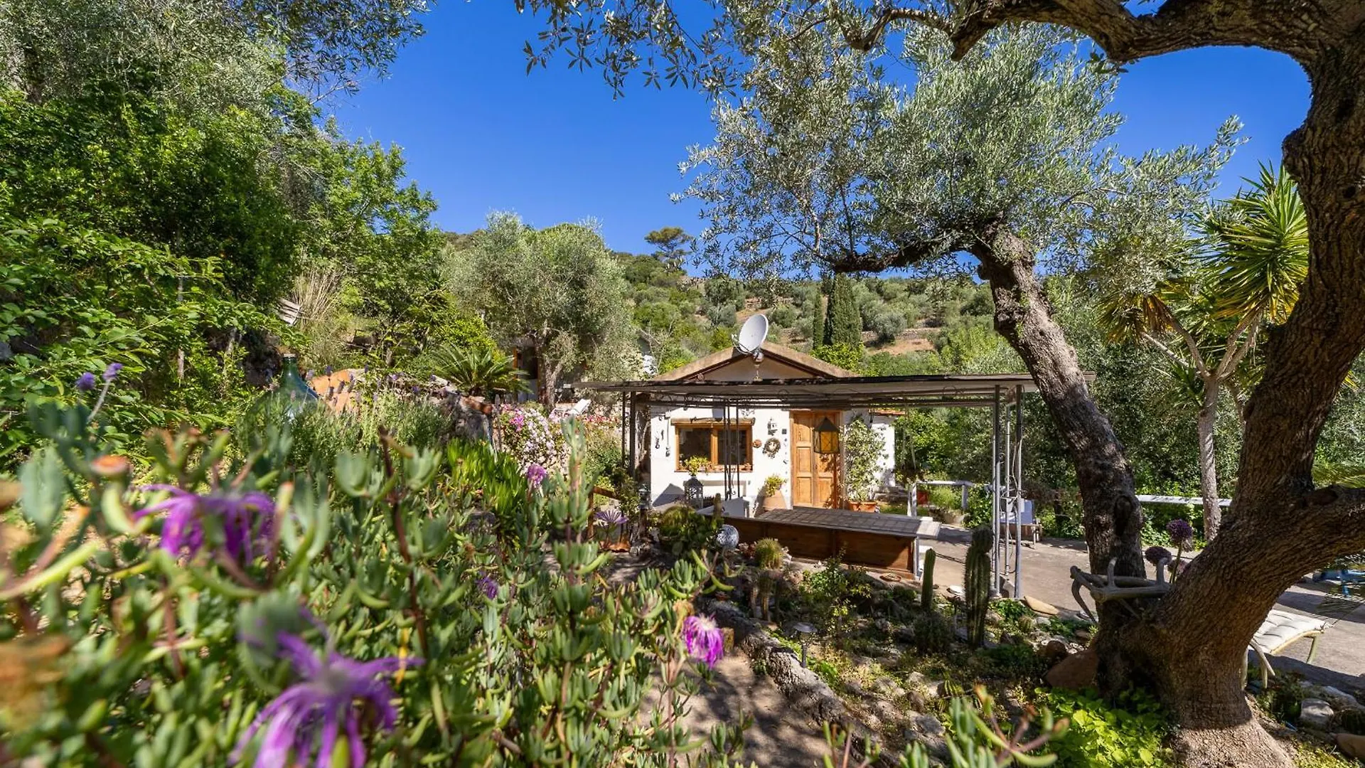 Cottage Pura Vigna Immerso Nella Natura Vicino Al Mare Porto Santo Stefano  Chalet Porto Santo Stefano (Grosseto)