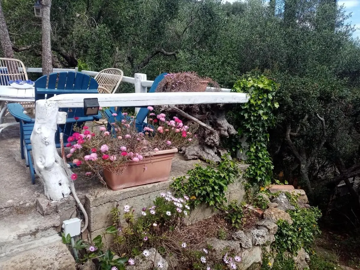 Cottage Pura Vigna Immerso Nella Natura Vicino Al Mare Porto Santo Stefano  Chalet